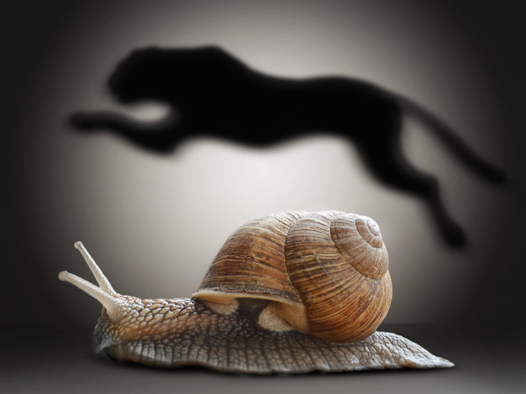 snail motionworx physio kelowna